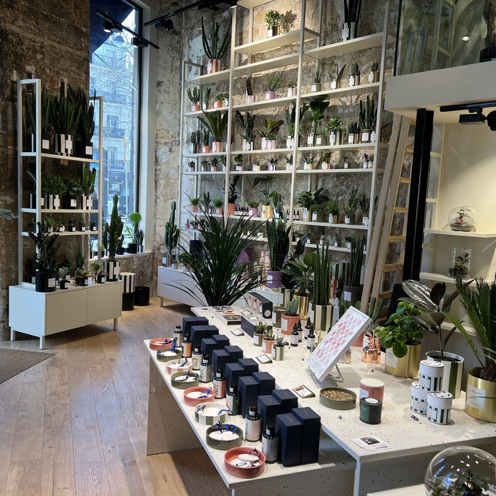 Intérieur avec des étagères garnies de plantes, projet d'architecture retail de luxe.