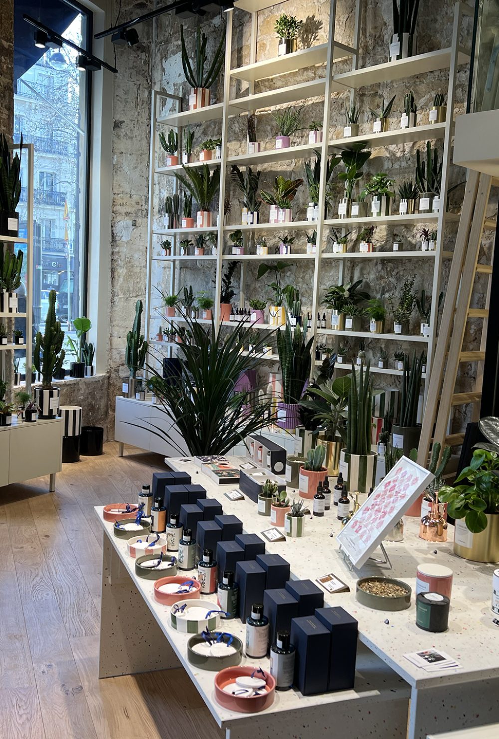 Intérieur avec des étagères garnies de plantes, projet d'architecture retail de luxe.