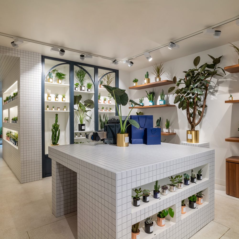Intérieur moderne avec comptoir carrelé, plantes en pot sur étagères et éclairage vif, projet d'architecture retail de luxe.