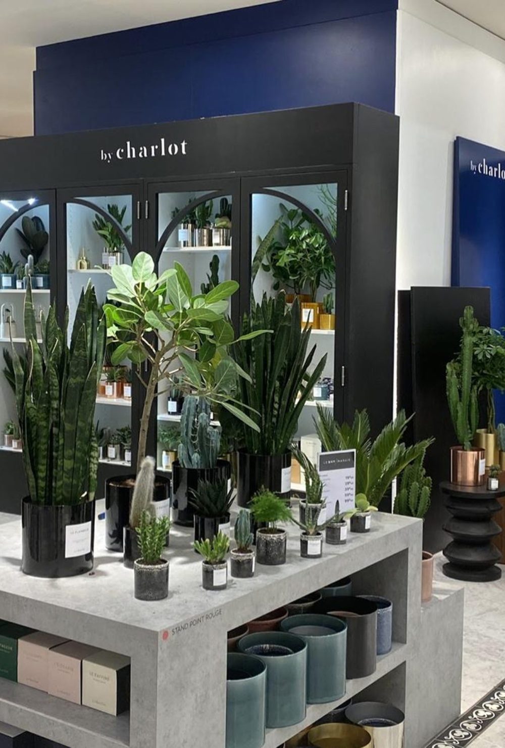 Intérieur moderne avec plantes en pot et accessoires sur étagères, dans la boutique by charlot.